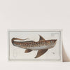 Chimaera Monstrosa, The Chiméra. (1785-1797) by Marcus Elieser Bloch