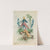 Chinese Design for the Use of Designers and Painters (c.1796–98) by Anne Allen