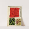 Chinese prints pl.12 (1871-1894) by A. F. Stoddard & Company