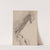 Chinoiserie, a Bird of Prey by James Ensor