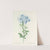 Choix des plus belles fleurs pl 034 by Pierre Joseph Redouté