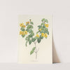 Choix des plus belles fleurs pl 076 by Pierre Joseph Redouté