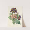 Choix des plus belles fleurs pl 080 by Pierre Joseph Redouté