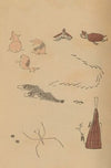 Chōjū ryakugashiki, Pl.40