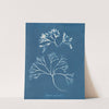 Chondrus mamillosus by Anna Atkins