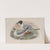 Chroicocephalus philadelphia. Bonaparte’s Gull. (1862-1873) by John Gould