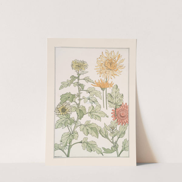 Chrysanthème by Maurice Pillard Verneuil