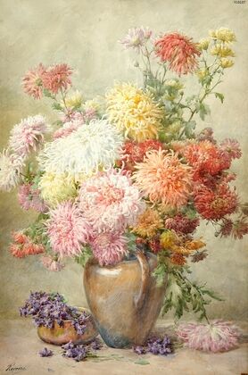 Chrysanthèmes