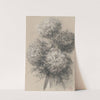 Chrysanthemums (1890s) by Claude Emile Schuffenecker