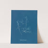 Chylocladia ovalis (1843-1853) by Anna Atkins