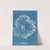 Chylocladia ovalis. (1843-1853) by Anna Atkins