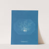 Chylocladia parvula (1843-1853) by Anna Atkins