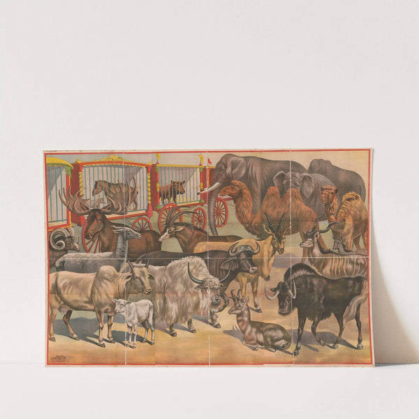 Circus animals (1892) by Russell, Morgan &amp; Co.