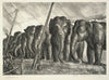 Circus Elephants