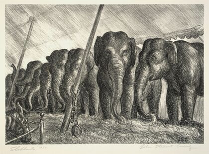 Circus Elephants