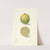Citrus aurantiifolia: Persian Lime by Elsie E. Lower