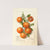 Citrus: Calamondian by Deborah Griscom Passmore