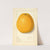 Citrus by Ellen Isham Schutt