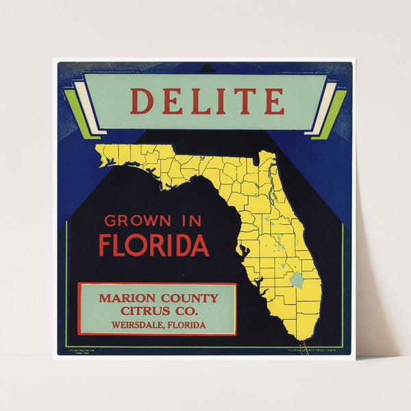 Citrus Label for Delite – Black and Blue (1930-1950)