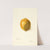 Citrus limon by Bertha Heiges