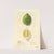Citrus limon: Eureka by Ellen Isham Schutt
