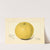 Citrus paradisi: Davis Seedless by Amanda Almira Newton