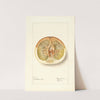 Citrus paradisi: Pomelo by Elsie E. Lower