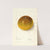 Citrus paradisi: Pomelo by Elsie E. Lower