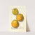 Citrus sinensis: Valencia (1913) by Ellen Isham Schutt