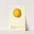 Citrus sinensis: Washington Navel by Ellen Isham Schutt