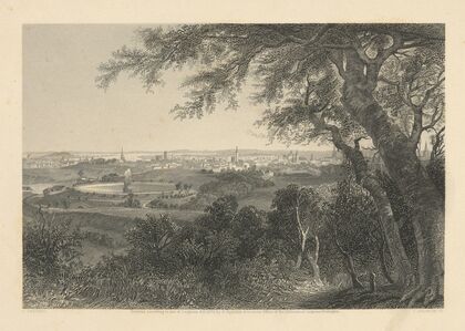 City of Baltimore (From Druid Hill Park) (1876) — size preview