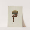 Clamp Pincushion by Nicholas Amantea