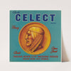 Clark’s Celect Brand Fancy Citrus Fruit Label (1930-1950)