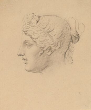 Classical Head in Profile