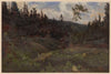 Clearing (1850-1881)