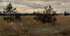 Clearing with pine trees (1888)