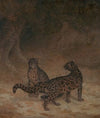 Clouded Leopards