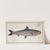 Clupea Pilchardus, The Pilchard. (1785-1797) by Marcus Elieser Bloch