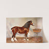 Clydesdale Stallion, Prince of Albion by Frank Babbage
