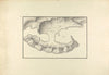 Cnidus: Plan of the Harbor and Map of Sites