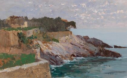 Coast Golfo Paradiso
