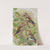 Coccothraustes coccothraustes by Johann Friedrich Naumann