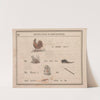 Cock, Dame, Shoe, Lost, Fiddlestick, Knot (1855) by Sherman &amp; Co.