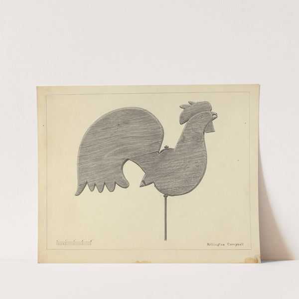 Cock Weather Vane by Rollington Campbell