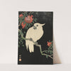 Cockatoo And Pomegranate by Ohara Koson