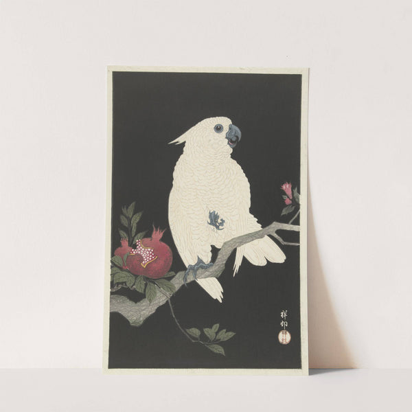 Cockatoo and pomegranate by Ohara Koson