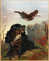Cocker and Woodcock (ca. 1861–1897)