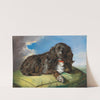 Cocker Spaniel auf grünem Polster liegend by Theodor Petter