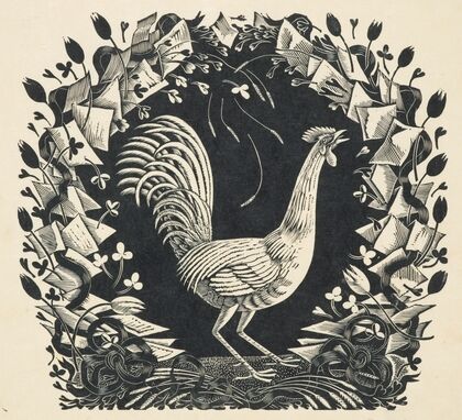 Cockerel