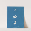 Codium adhaerens (1843-1853) by Anna Atkins
